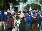 Tikvah2